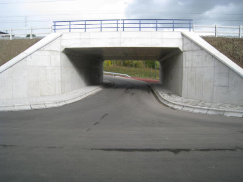 IMG 0055